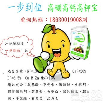 高硼高鈣高鉀寶一步到位綠葉沃根膨果型水溶肥——為峰肥業(yè)全國(guó)招商